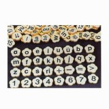 汉语拼音磁性计算教具-桌面玩具,益智玩具-WL11309D