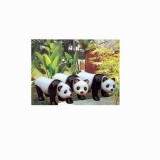 熊猫-幼儿园环境布置-WL11444F